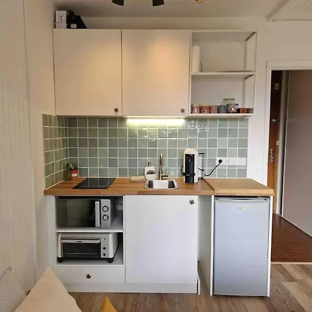 Grands Montets Studio, Argentiere, Valley Апартаменти Шамоні